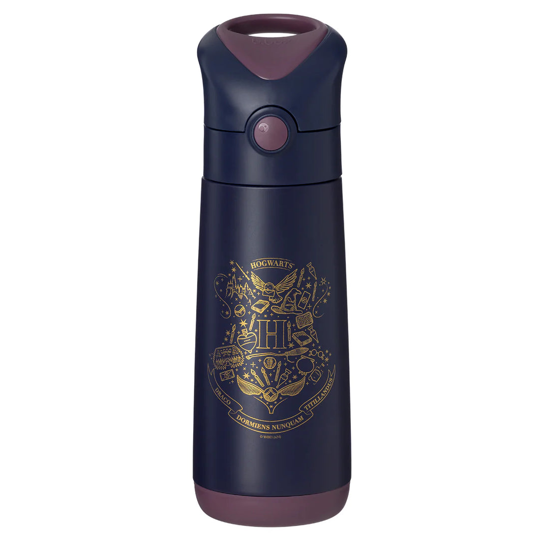 Insulated Drink Bottle Harry Potter Bbox 500ml