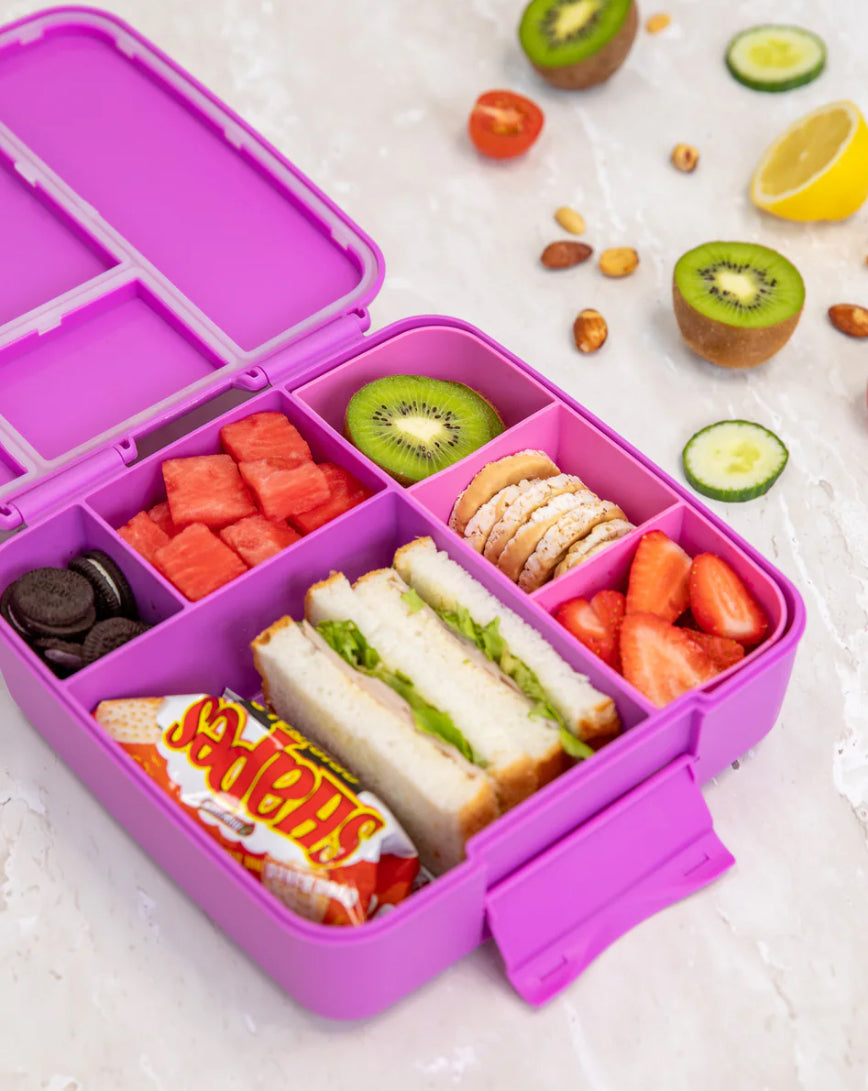 Feast Lunch Box - Fuschia Montiico