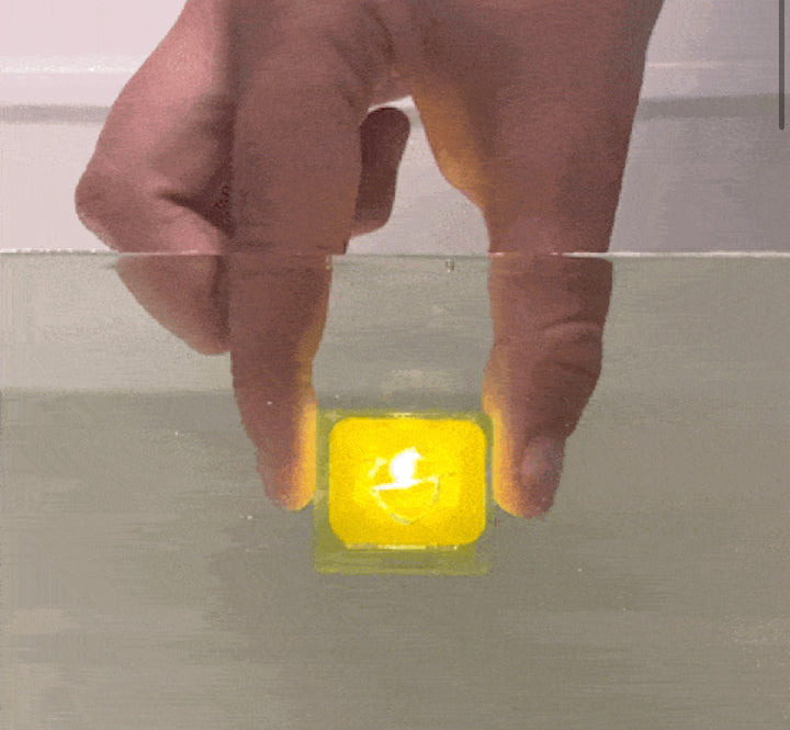 Alex Light-Up Cubes