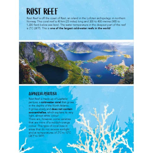 Sassi Save the Planet - The Coral Reef Puzzle and Book Set, 220 pcs